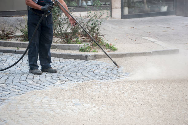 Best Sign and Awning Cleaning  in Donna, TX