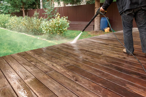 Best Animal Enclosure Cleaning  in Donna, TX